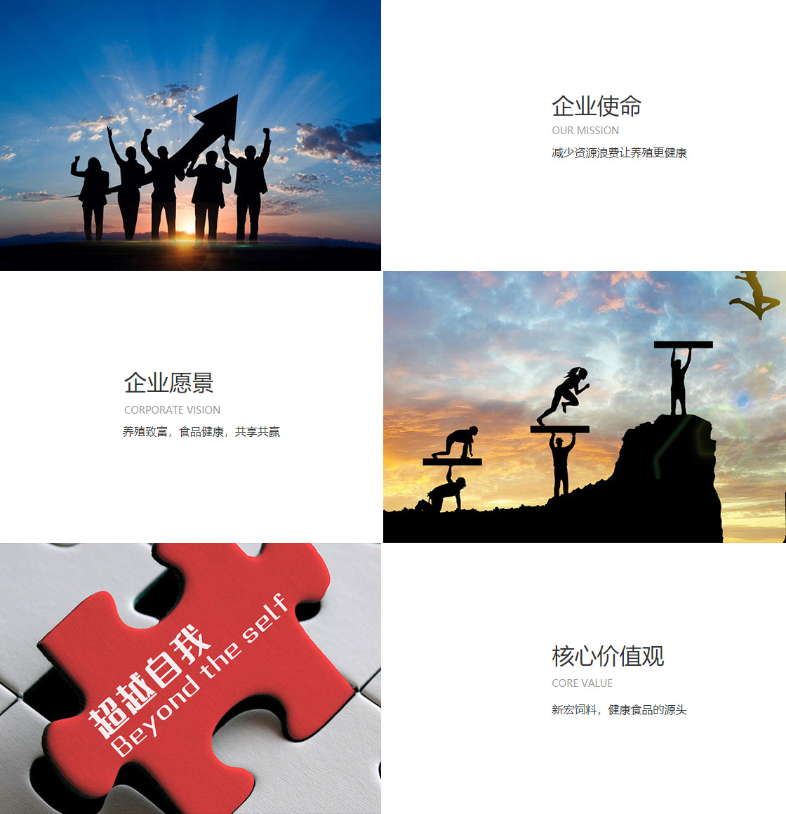 米兰(中国)milan·官方网站(图1)